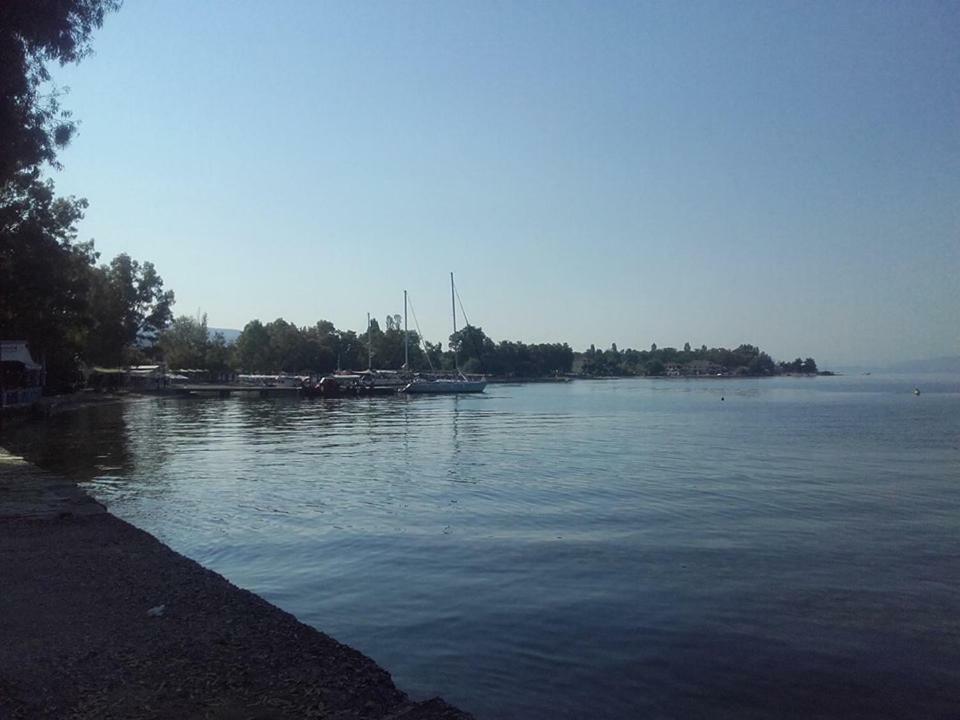 فيلا Evgenia'S House بلاك كالا المظهر الخارجي الصورة